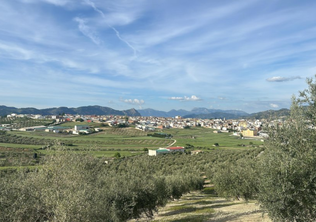 ¿Jaén necesita crecer más o vivir mejor?  La opinión de un catalán en Jaén