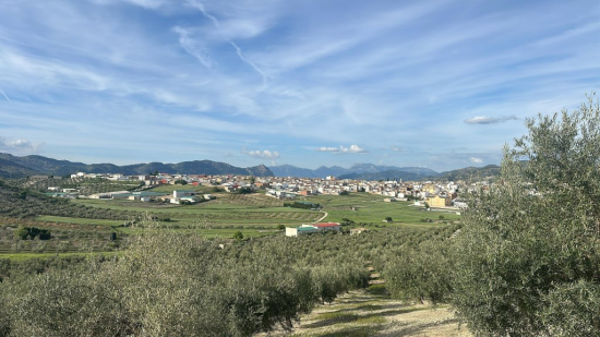¿Jaén necesita crecer más o vivir mejor?  La opinión de un catalán en Jaén